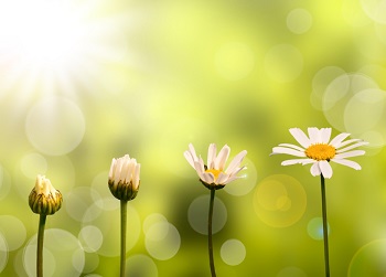 Creating a Culture of Employee Engagement Continues with Resources