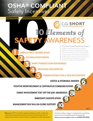 10ElementsSafetyAwareness-thumbnail.jpg