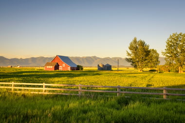 Cultivating a Movement: How Tractor Supply and C.A. Short Scaled a Culture of Recognition
