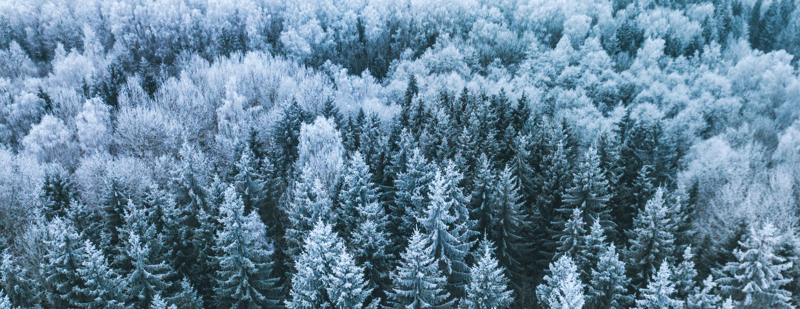 How to Increase Employee Engagement During the Holidays