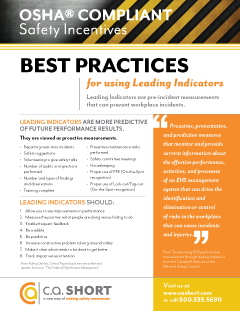 Best_Practices_for_Using_Leading_IndicatorsTN.png