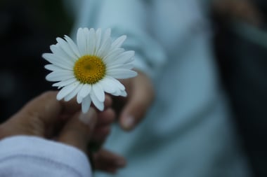 Celebrating Random Acts of Kindness: Small Acts, Big Results