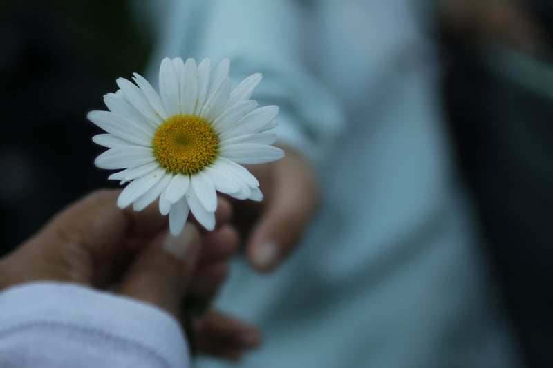 Celebrating Random Acts of Kindness: Small Acts, Big Results .