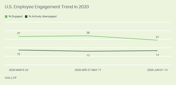 Gallup Engagement Data