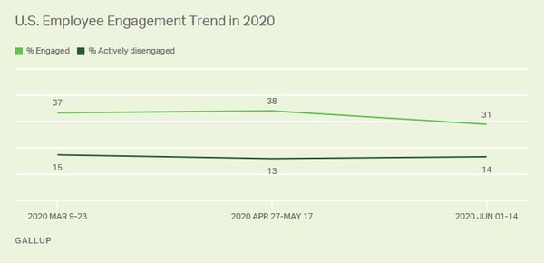 Gallup Engagement Data