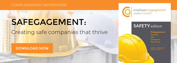 Safegagement: Creating Safe Companies That Thrive