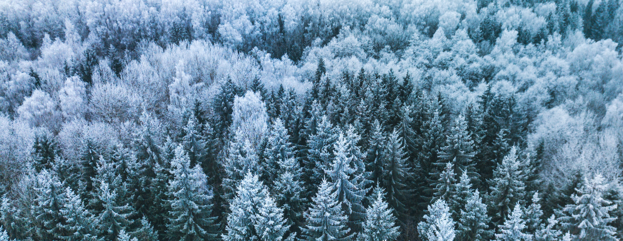 How to Increase Employee Engagement During the Holidays