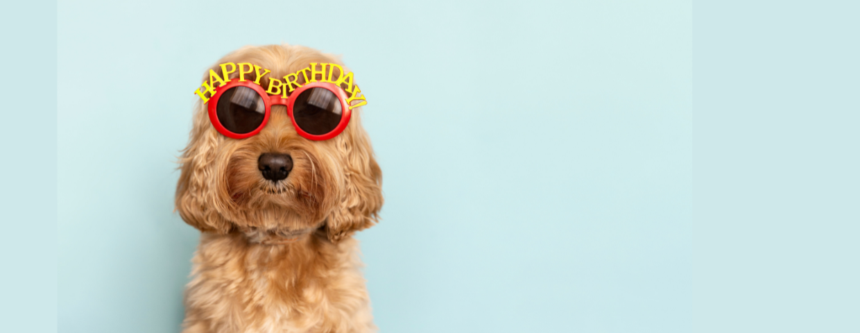 The Importance of Celebrating Employee Birthdays.